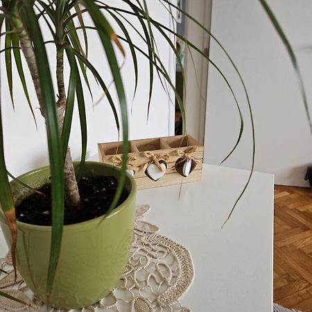 Cosy Apartment In The Heart Of Szkopje Kültér fotó