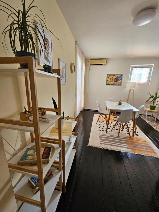 Cosy Apartment In The Heart Of Szkopje Kültér fotó